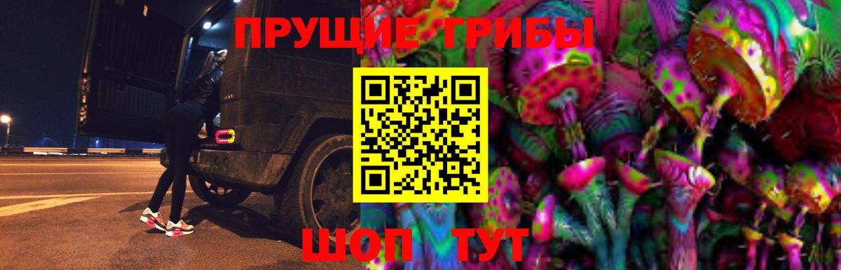 Псилоцибиновые грибы прущие грибы Горячий Ключ